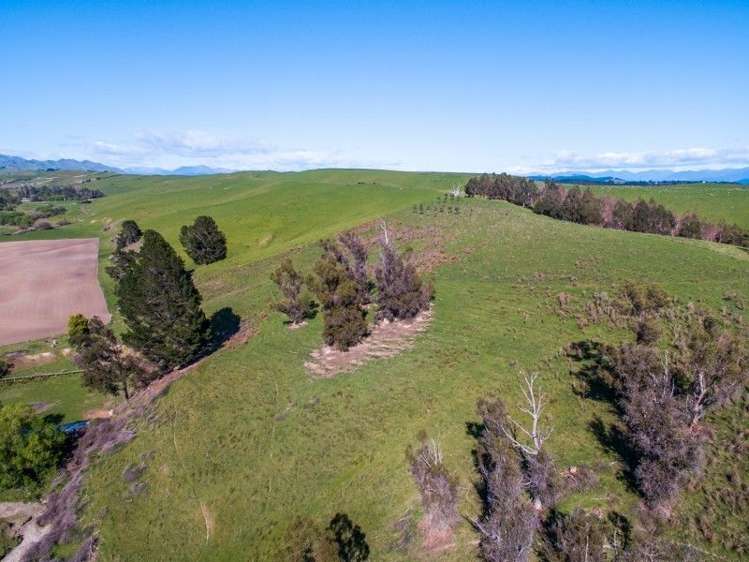 264 Hawkesbury Road Hawkesbury_15