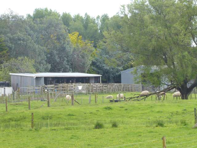 237 Kellow Road Rongotea_1