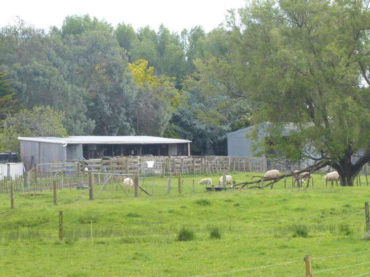 237 Kellow Road Rongotea_1