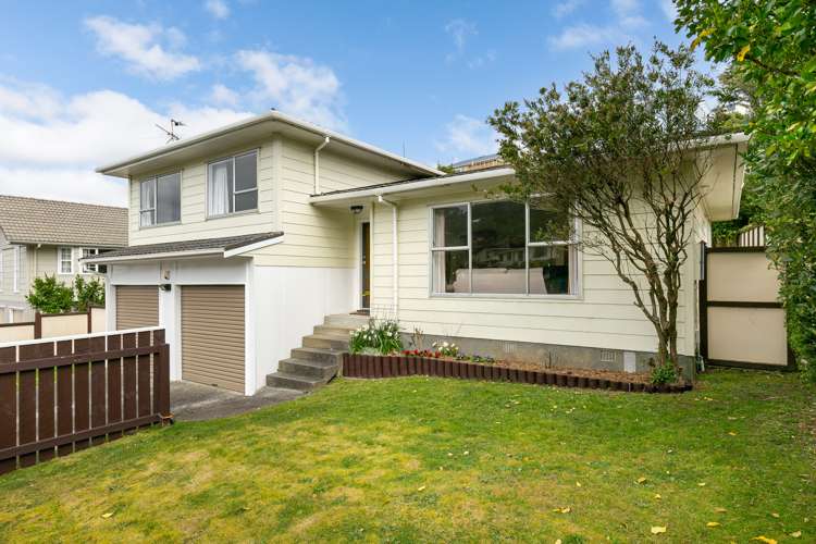 51 Cortina Avenue Johnsonville_12