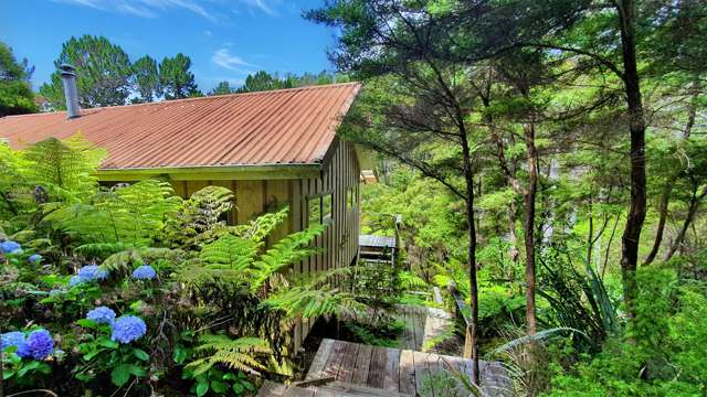 46 Schoolhouse Bay Road Kawau Island_4