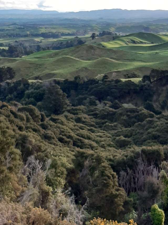 Glengarry Road Puketapu_4