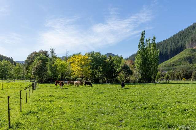 208 Mount Riley Road Okaramio_4