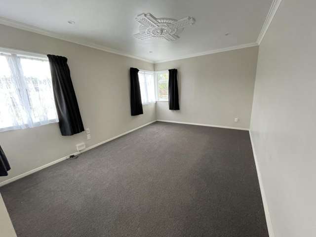 99 Portal Street Durie Hill_2