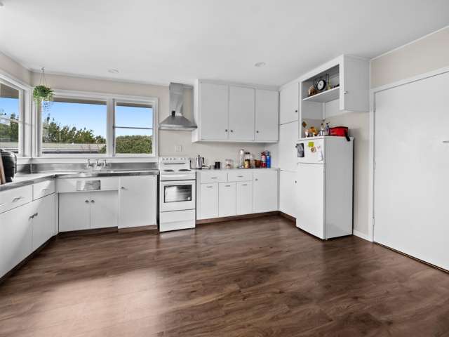 77 Princes Street Netherby_1