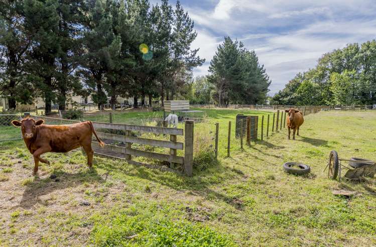 118 Union Street Foxton_24