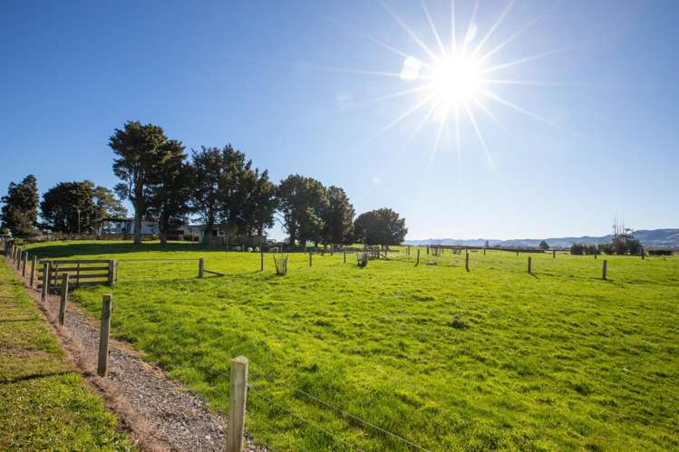 26 Cadman Road Paeroa_28