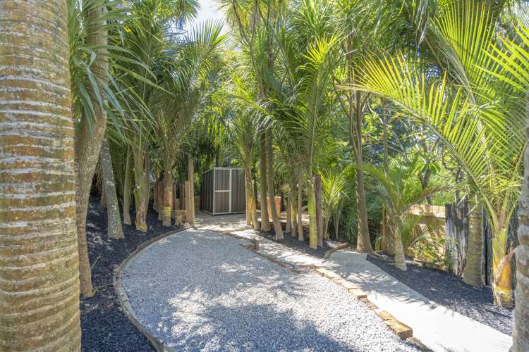 32 King Street Grey Lynn_11