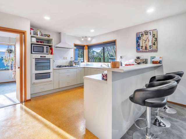 22 Nixon Street Tinwald_3