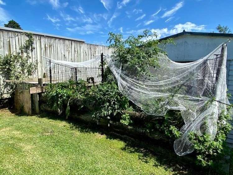12 Sunset Drive Paengaroa_19