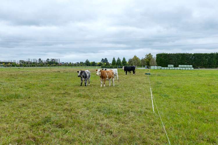 72 Winslow Willowby Road Winslow_19