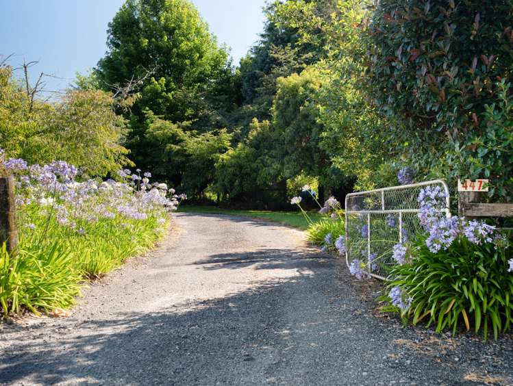 447 Poripori Road Kaimai_28