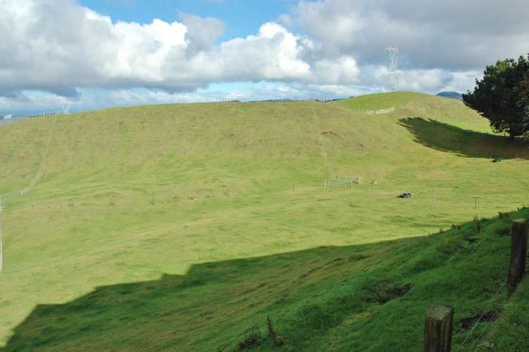 491 Palmer Mill Road Wairakei and Surrounds_19