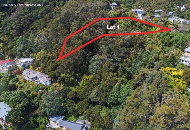 Lot Lot 1/69 Waitohu Road_5