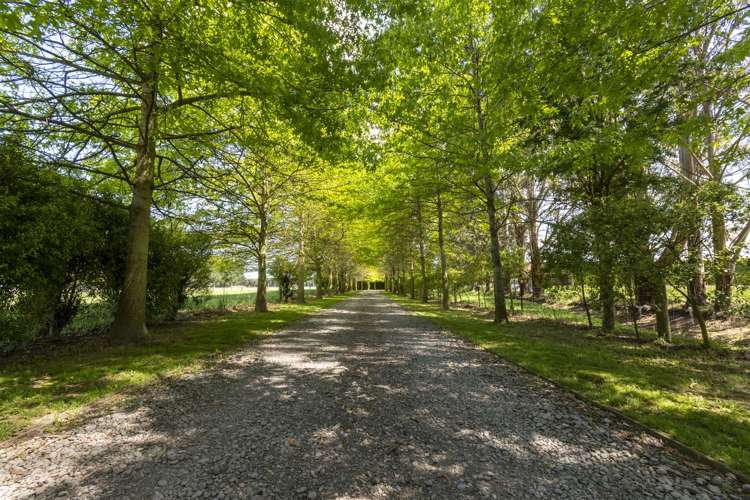 301 School Road West Eyreton_14