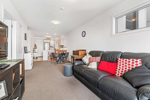 217/17 Link Crescent Stanmore Bay_2