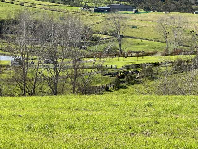 Lot 8/236 Redcliffs Road Kerikeri_4