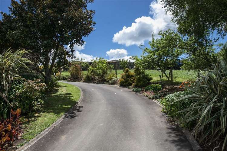 1243 Pokuru Road Te Kawa_8