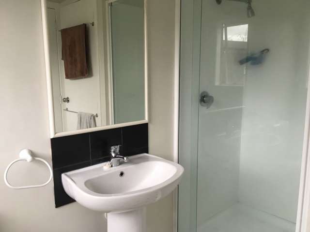 207 Maeroa Road Maeroa_2