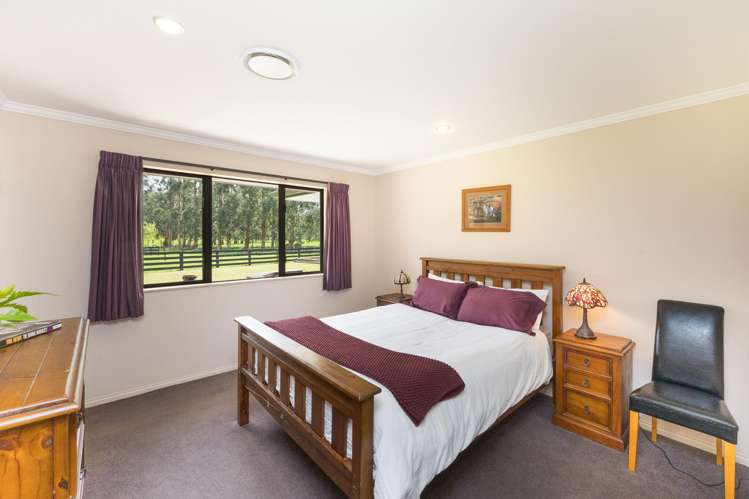 38B Grove Road Hiwinui_15