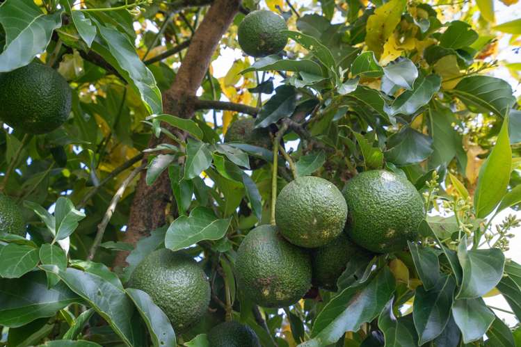 107 Thornton Road Cambridge_20