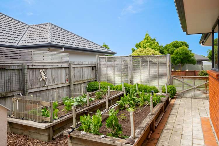 28 Hope Drive Witherlea_17