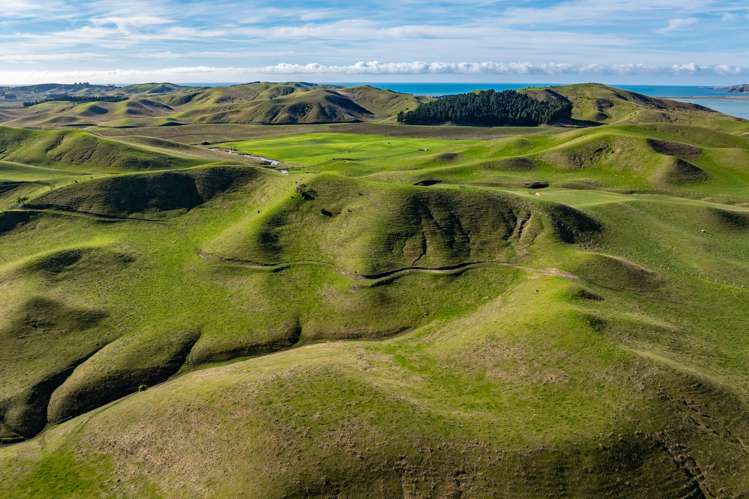 60 Merrifields Road Blind River_13