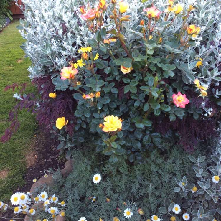 1342 Coast Road Toko Mouth_11