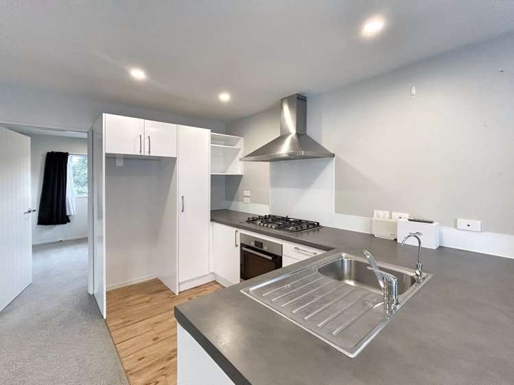 111A Pilkington Road Panmure_4