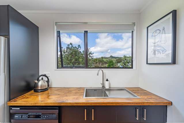 133 Mcmahon Avenue Whangapoua_3