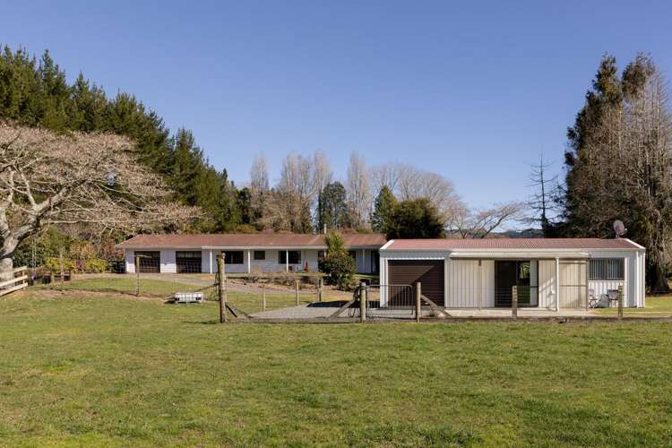 1255 Braemar Road Rotoma_30