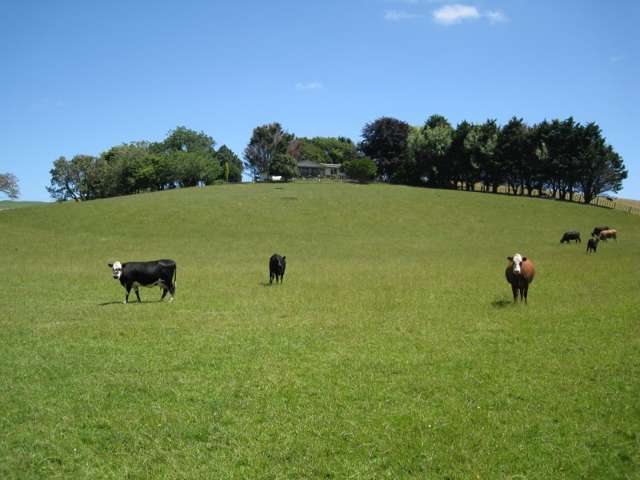 1447 Waikaretu Valley Road Waikaretu_1