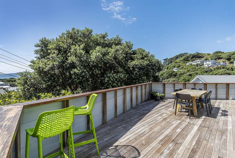 4 Pinnacle Street Seatoun_12