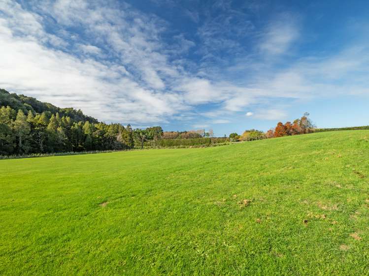 30 Sunnyside Road Sunnyvale_14