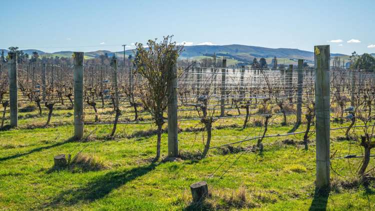 148 Omihi Road Waipara_23