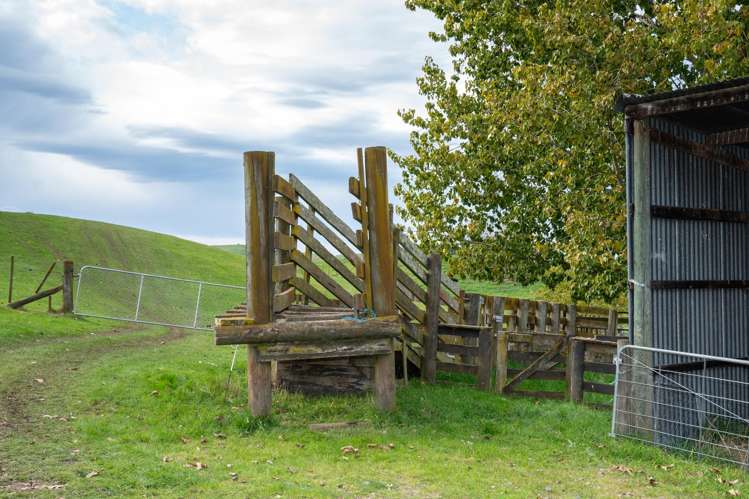 613 Matapiro Road Crownthorpe_20