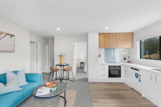 45B Ryan Street Phillipstown_1