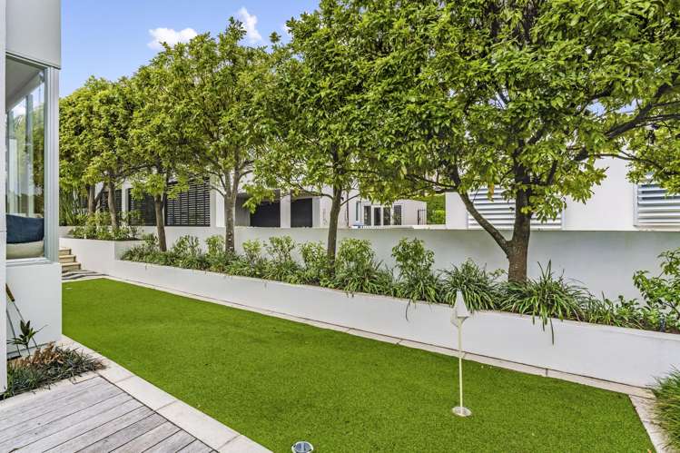 17A Elam Street Parnell_6