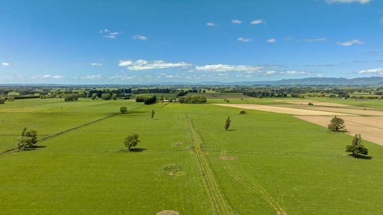 332 Setters Line Bunnythorpe_6