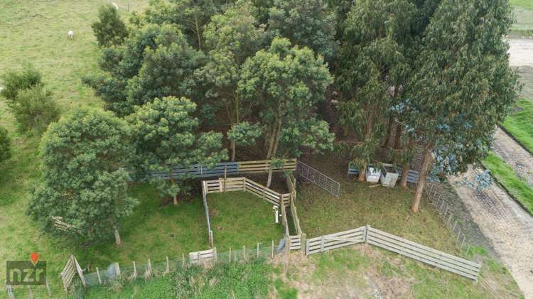 9 Quail Avenue Feilding_18