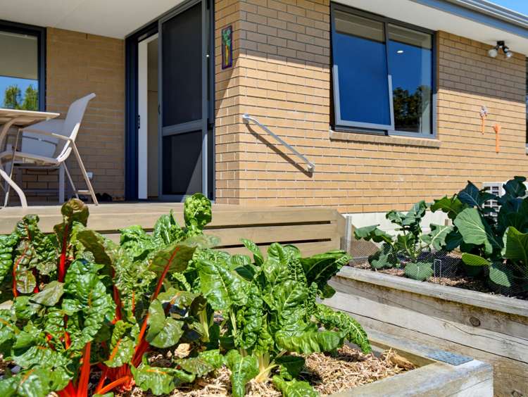 20C Brookvale Road Havelock North_8