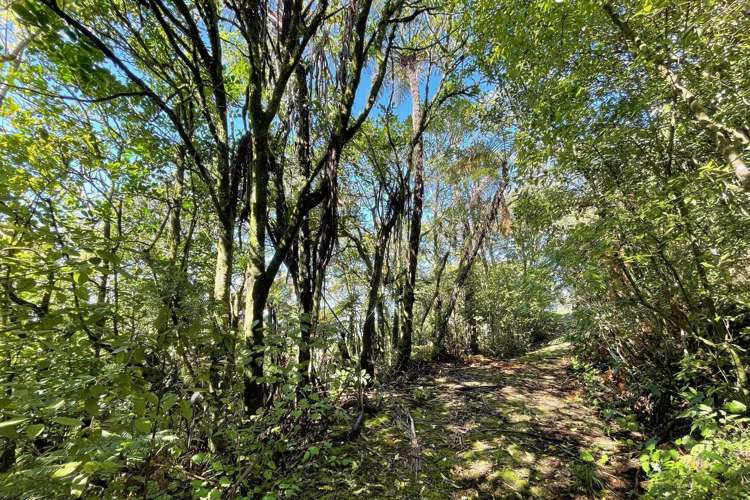 85 Te Raumauku Road Otorohanga_45