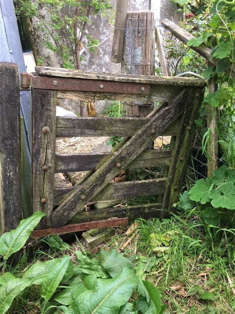 119 Rusk Road Hukerenui and Surrounds_17