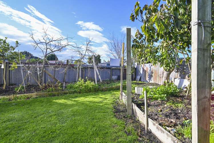 407 Montgomery Street Raureka_23