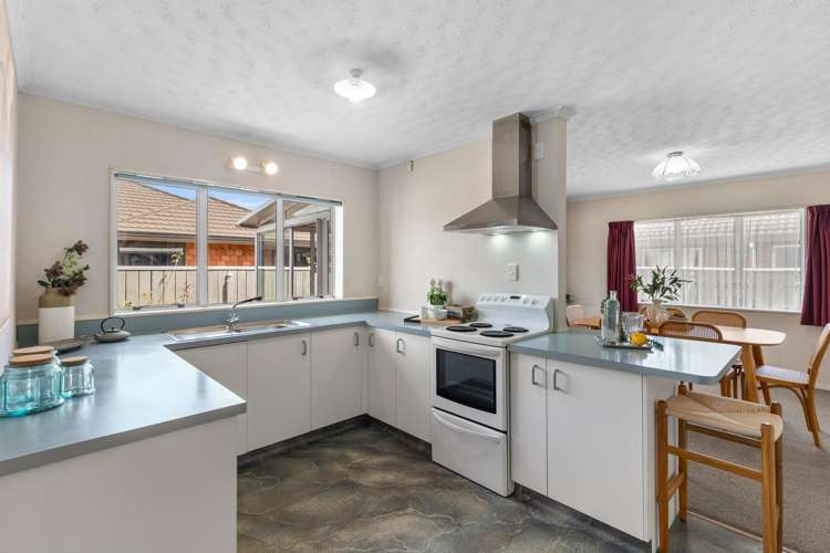 18 Manchester Street Levin_3