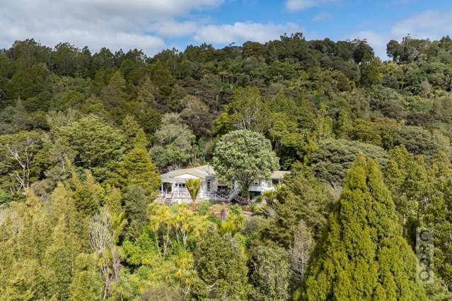 244 School Road Waimauku_3