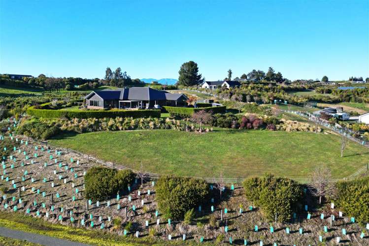 4 Amber Rise Tasman_5