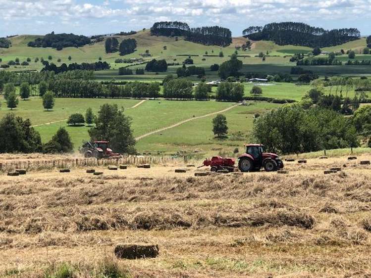 637C Kohanga Road Onewhero_42