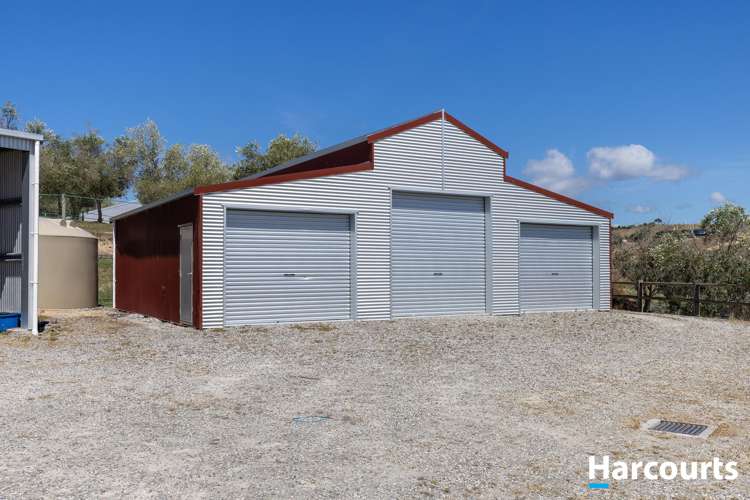 136 Harley Road Tasman_39