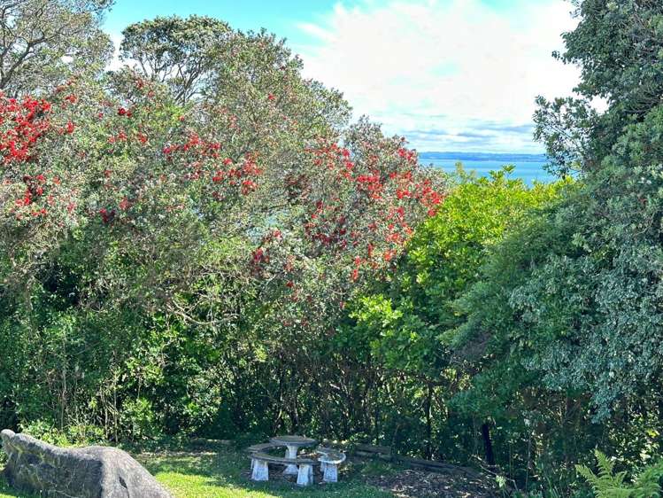 354 Hillsborough Road Hillsborough_8